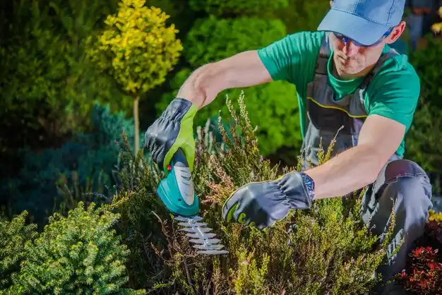 landscaping services Clawson